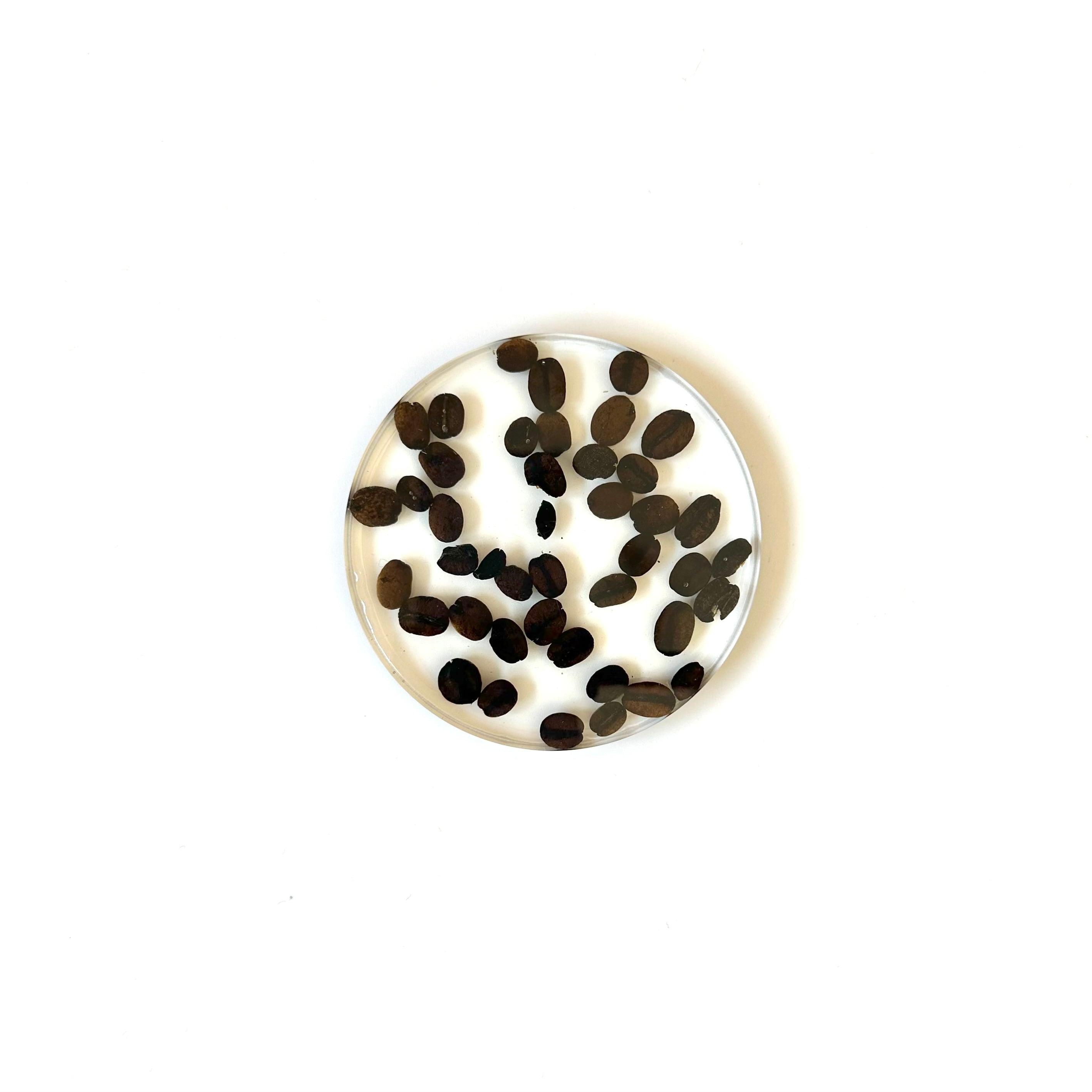 コーヒー豆のコースター