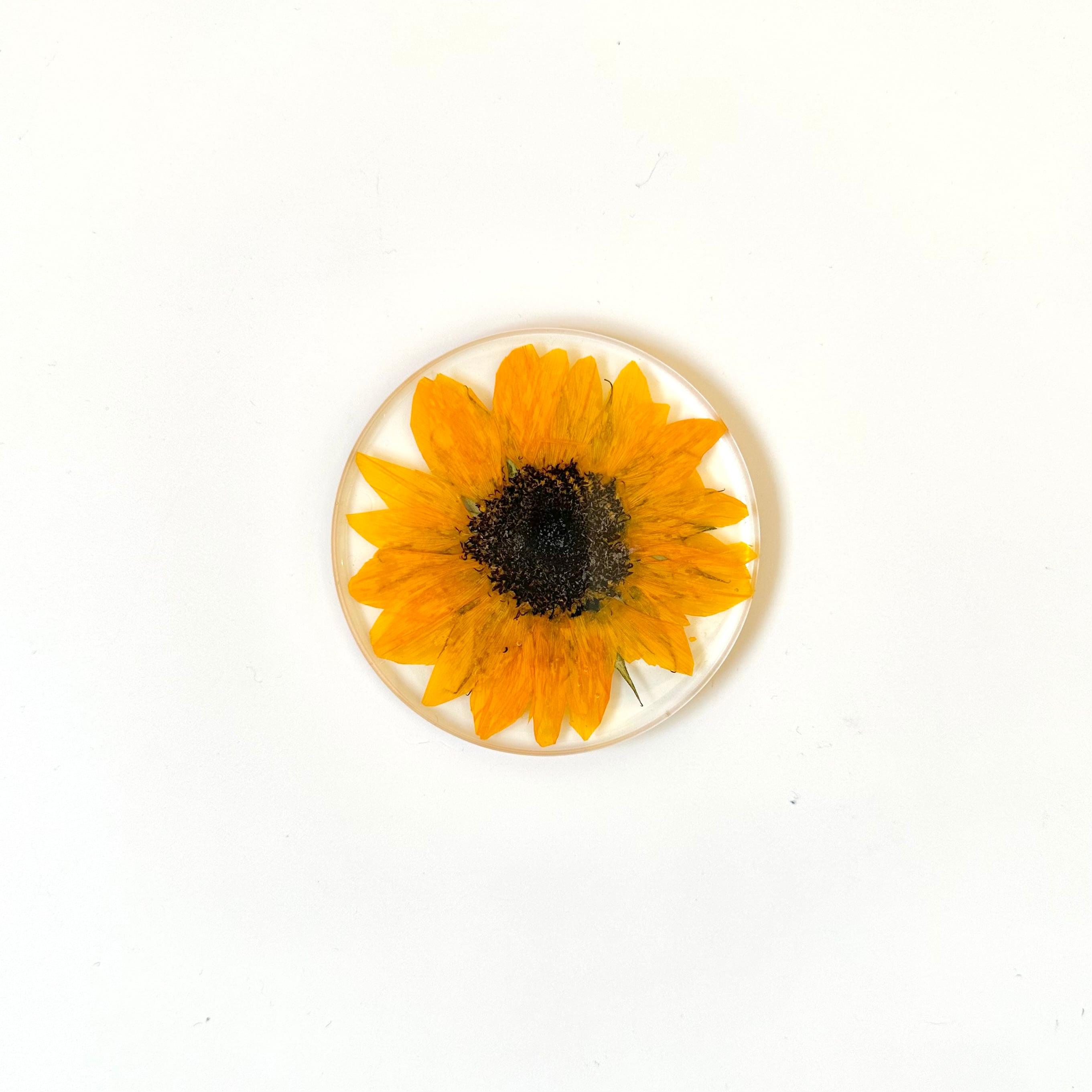 ひまわりのコースター