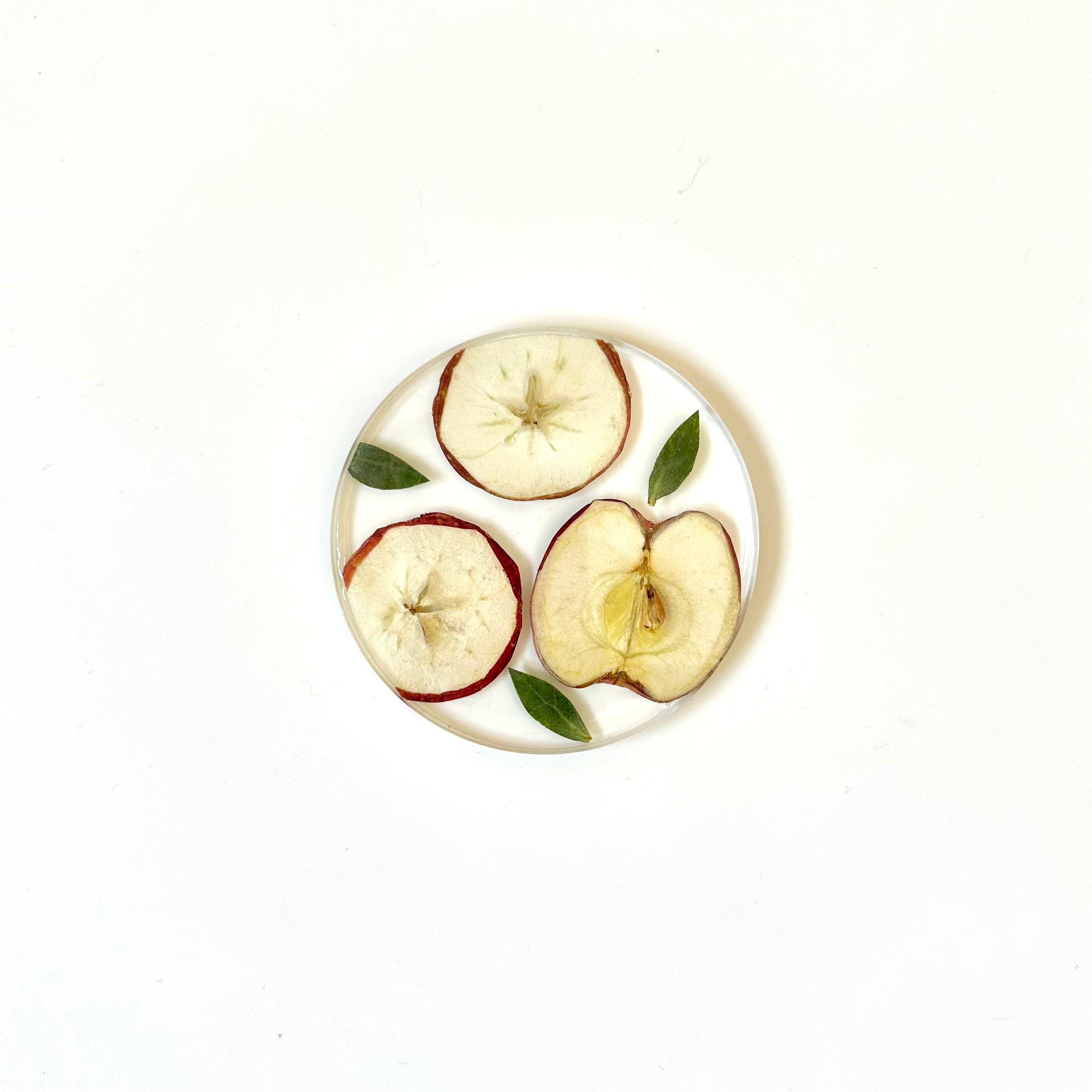 ひめりんごのコースター