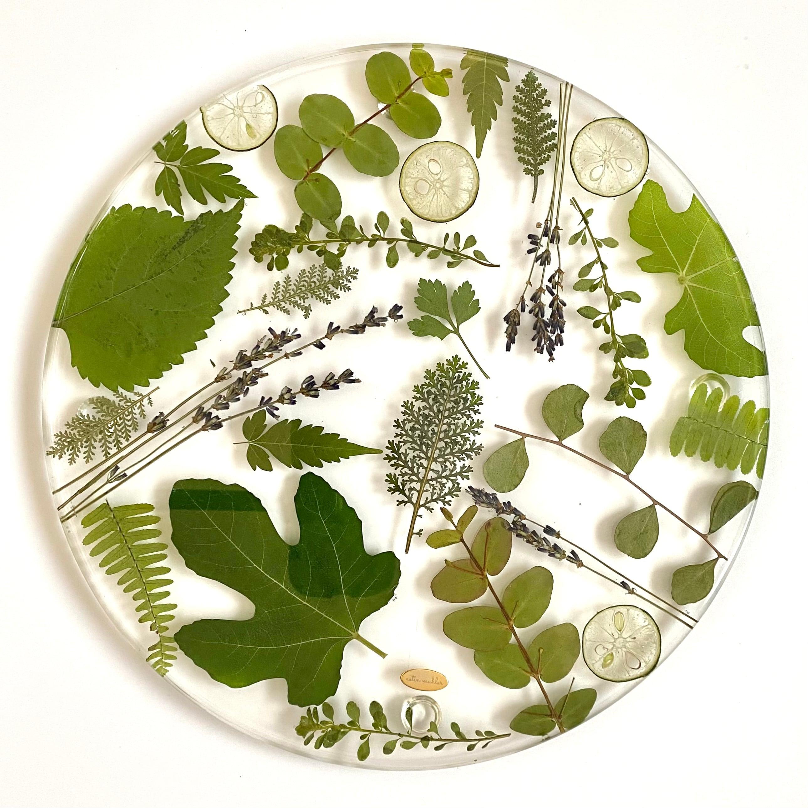【Lサイズ】ボタニカルのお皿1枚目の画像