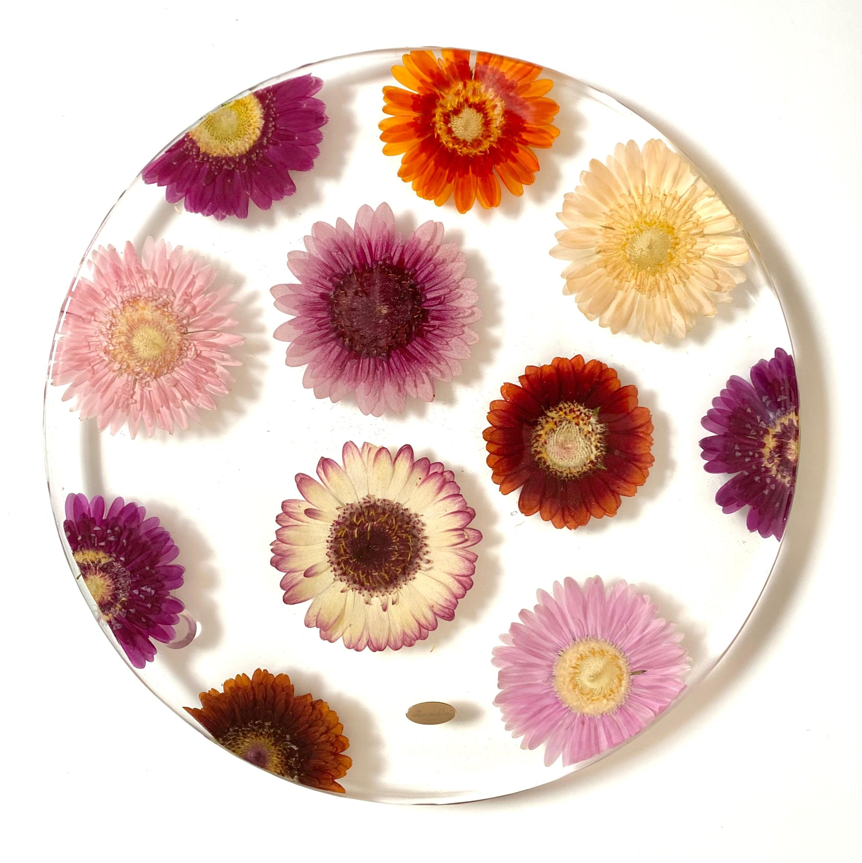 【Lサイズ】ガーベラミックスのお皿1枚目の画像