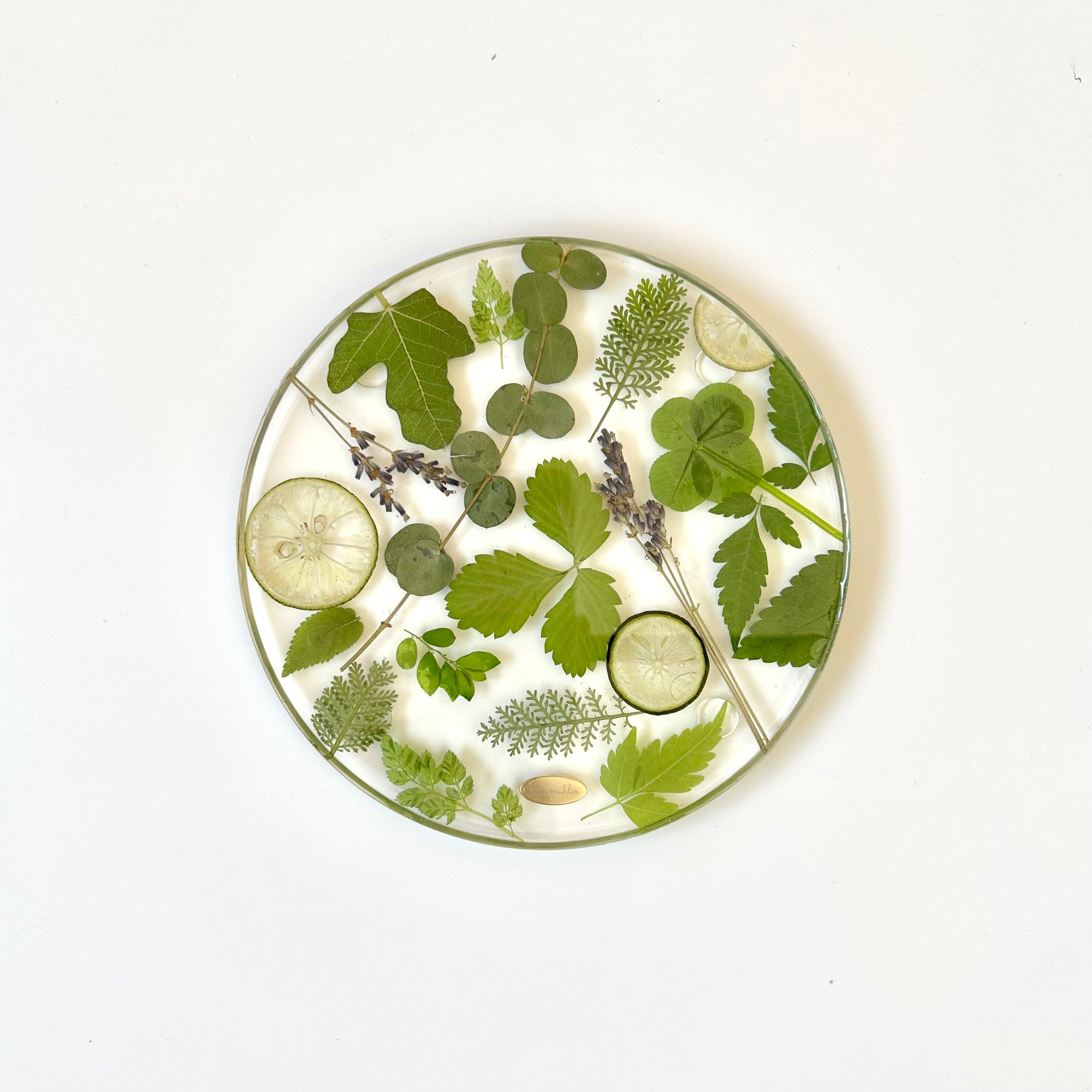 【Sサイズ】ボタニカルデザインのお皿1枚目の画像