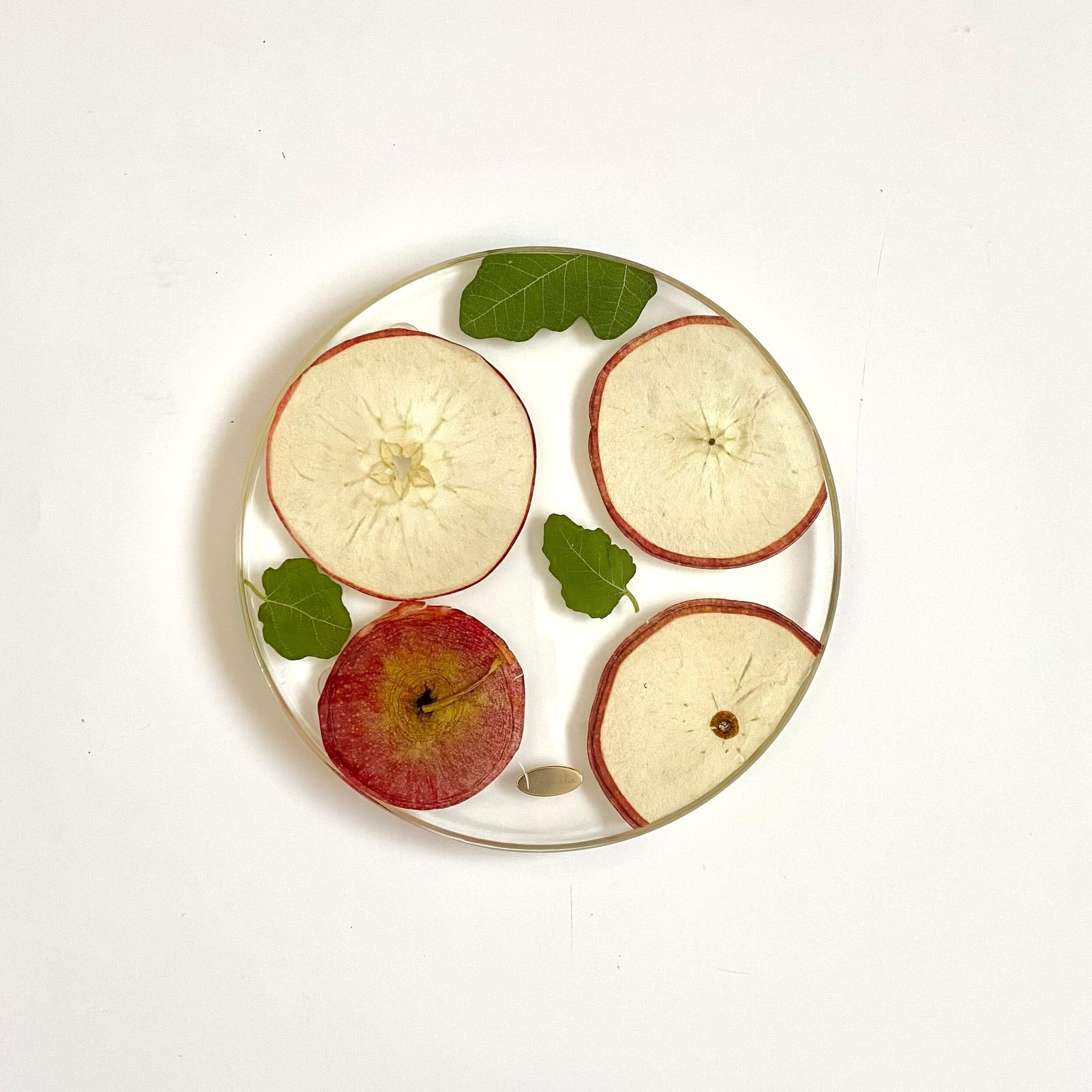 【Sサイズ】輪切りりんごのお皿1枚目の画像