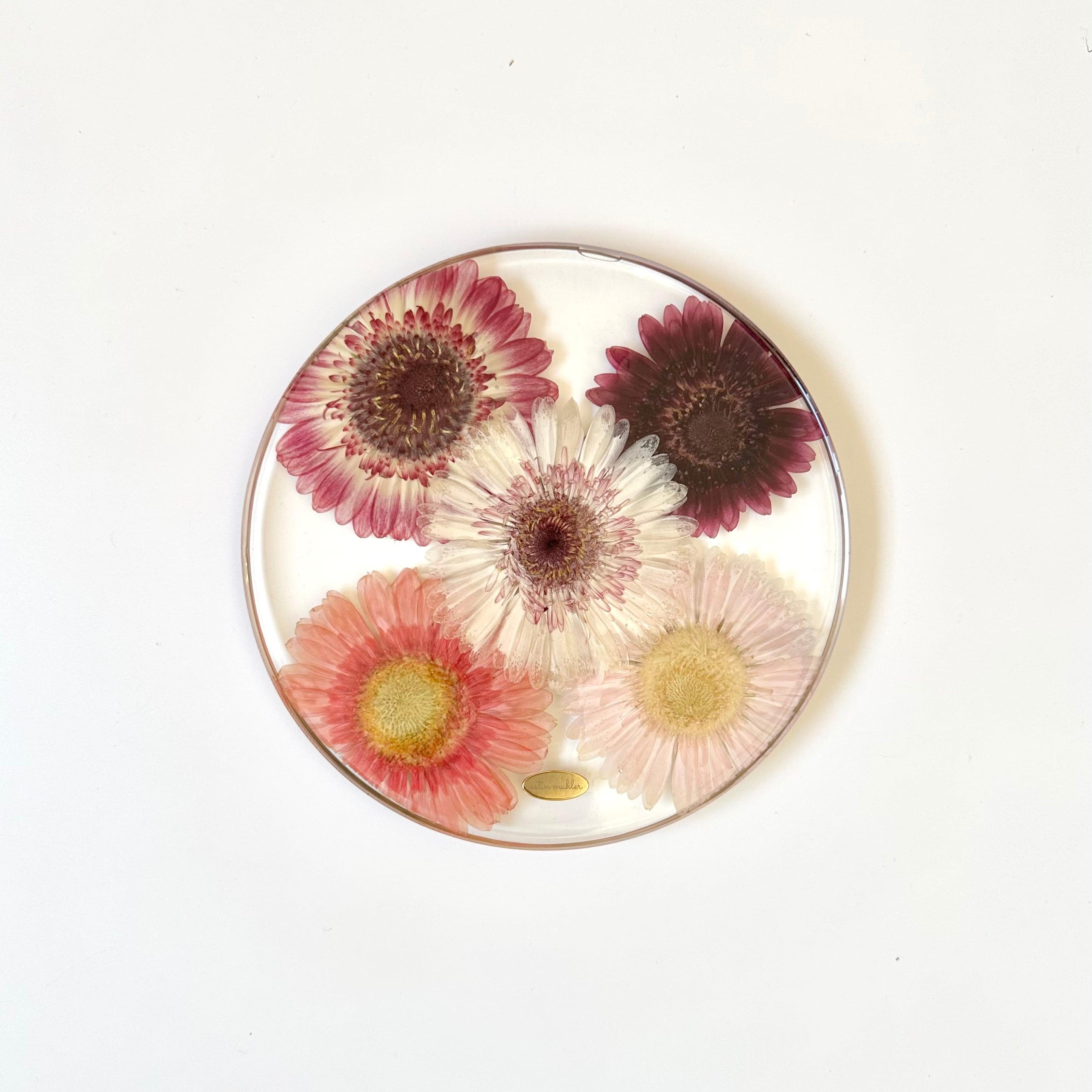 【Sサイズ】ガーベラミックスのお皿1枚目の画像