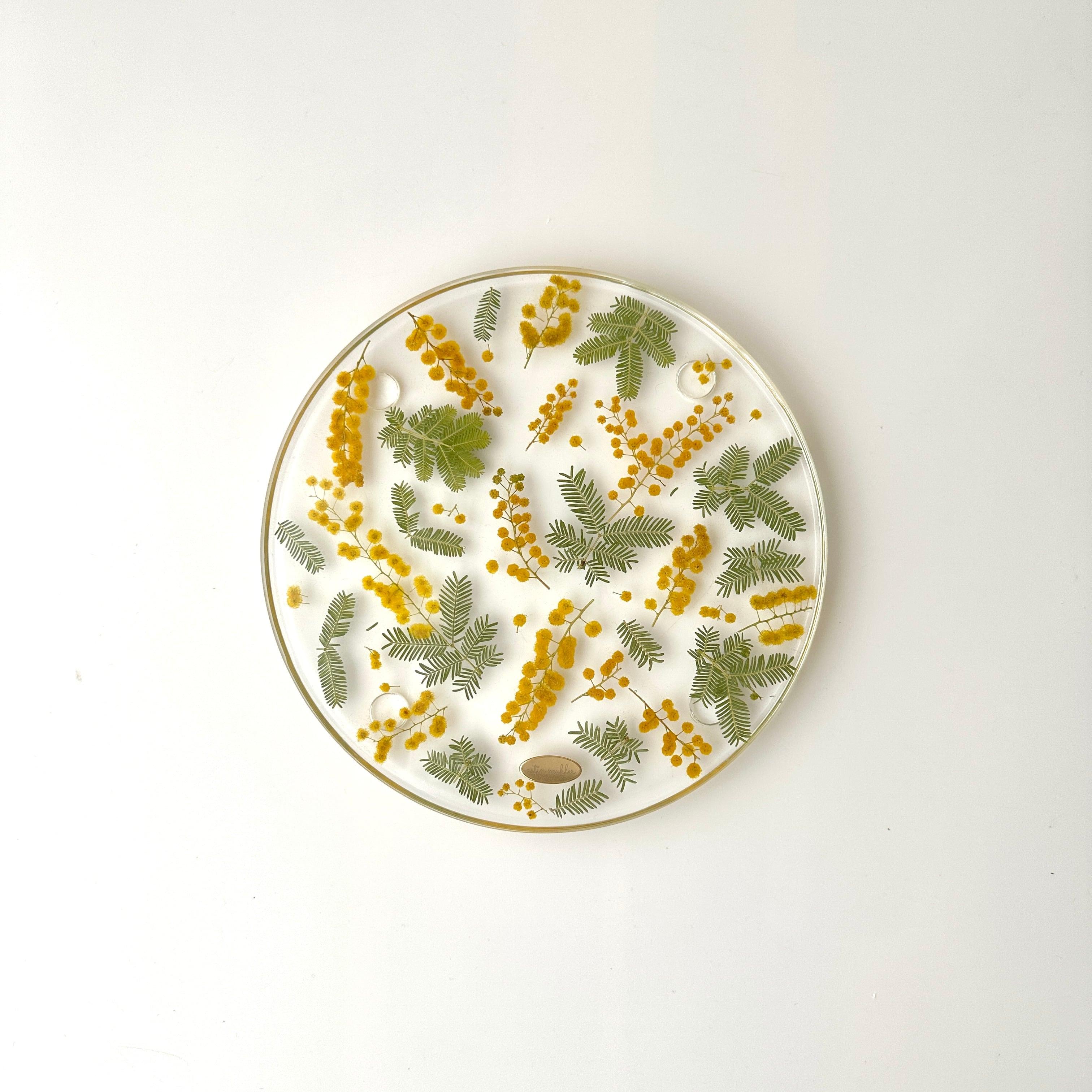 【Sサイズ】ミモザのお皿1枚目の画像